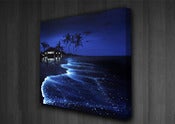 Image of "Midnight Rendezvous" Limited Edition Canvas Print