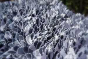 Image of Grey Squirrel Grey "Texture Mania" Basket Stuffer or Baby Mat