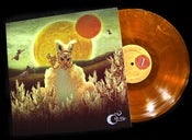 Image of Madness in Miniature 12" Vinyl LP