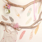 Floating Feathers / Plumes