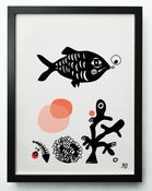 Image of "Fish" (Black/Coral)