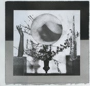 Image of Still Life print