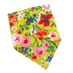 Image of bandito bib 3