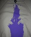 Image of Polar Bear- sweatshirt