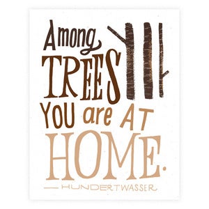 Image of Among Trees