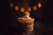 Image of Doily Bunting