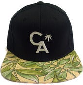 Image of Growing CA strapback