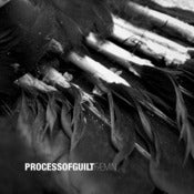 Image of Process of Guilt - Fæmin LP