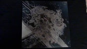 Image of Bosse-De-Nage - III 2xLP