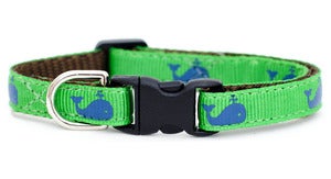 Image of Sweet Pickles' Design Cat Collar - The Big Catch