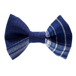 Image of Sweet Pickles' Design Bow Tie - The Watson