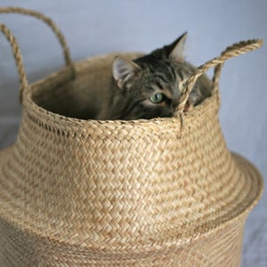 Image of Panier boule