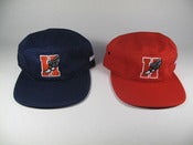Image of Hopps 5 Panel