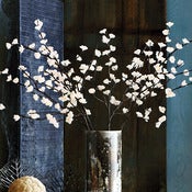 Image of lighted quince + cherry branches