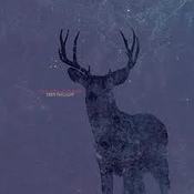 Image of Cold Body Radiation "Deer Twilight" CD