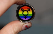 Image of LGBT Pride Plugs