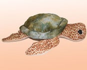 Image of "Adopt" a sea turtle