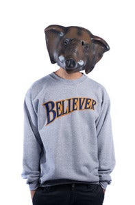 Image of Believer Crew - Grey