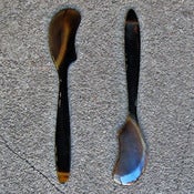 Image of variegated horn spreaders