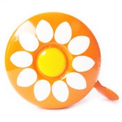 Image of marguerite orange / orange daisy
