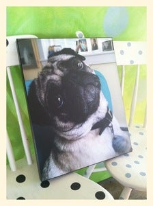 Image of PHOTO PRINT: Saki Longing