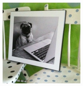 Image of PHOTO PRINT:  Saki, I Can't Type