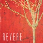 Image of CD Acoustic EP 'A Soundless Tree'