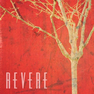 Image of CD Acoustic EP 'A Soundless Tree'