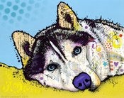 Image of Husky Special Edition - Tom and Jerry