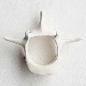 Image of BONE SHACKLE