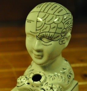 Image of Phrenology head inkwell.