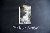 You Are My Sunshine Decal