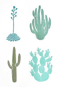 Image of Cactaceae