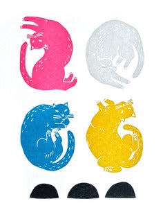 Image of Cats!