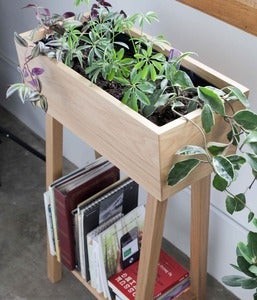 Image of White Oak Indoor Planter
