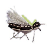 Image of Obe-Wan 