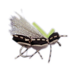 Image of Obe-Wan 