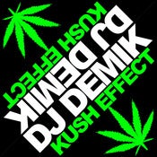 Image of DJ Demik Bandana