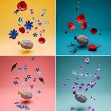 Image of grenade florale