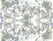 Image of Bellus - Color Way: Olive