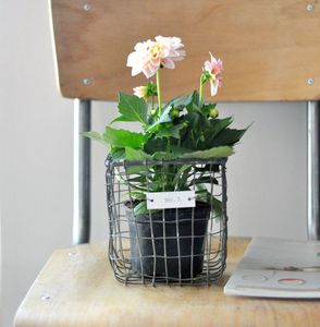 Image of Panier en métal House Doctor