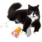 Image of GO!PETDESIGN Flash Scrappy Rat [GP005]