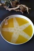 Image of Sea Star Serving Tray