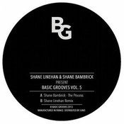 Image of SHANE BAMBRICK/ SHANE LENIHAN - Basic Grooves (vol 5.) - 12"