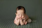 Image of Davis Knit Backdrop - Green