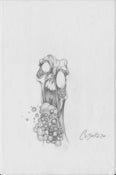 Image of 40/40 Sketch #13