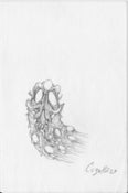 Image of 40/40 Sketch #18