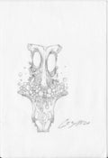 Image of 40/40 Sketch #38