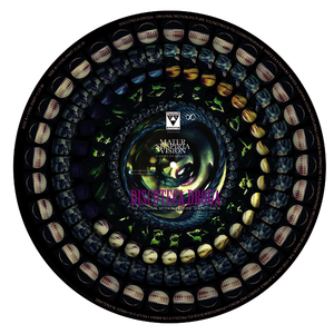 Image of PD-LP-014 Vinyl-Picture-Disc MATER SUSPIRIA VISION feat Carmen Incarnadine DISCOTECA DROGA