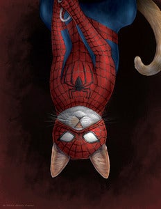 Image of Spider-Cat 8.5x11 Print